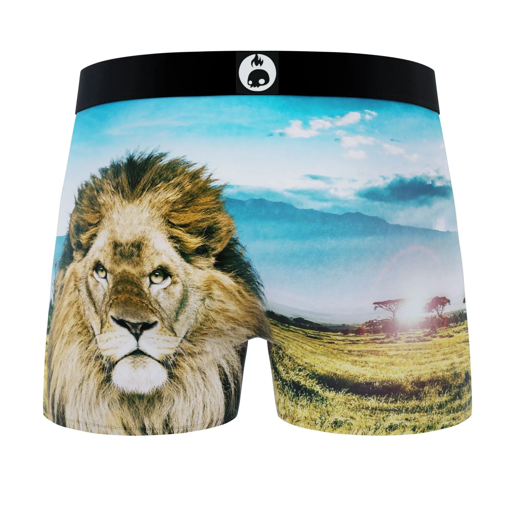 CRAZYBOXER Lion All Star Men's Boxer Briefs