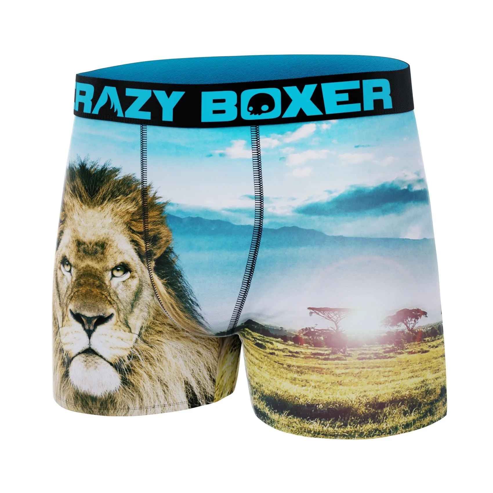 CRAZYBOXER Lion All Star Men's Boxer Briefs