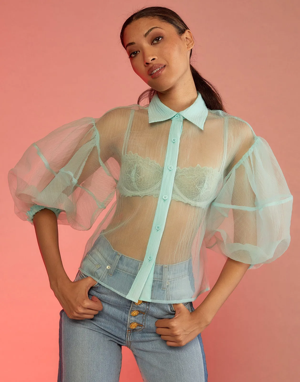 Sheer Bliss Blouse