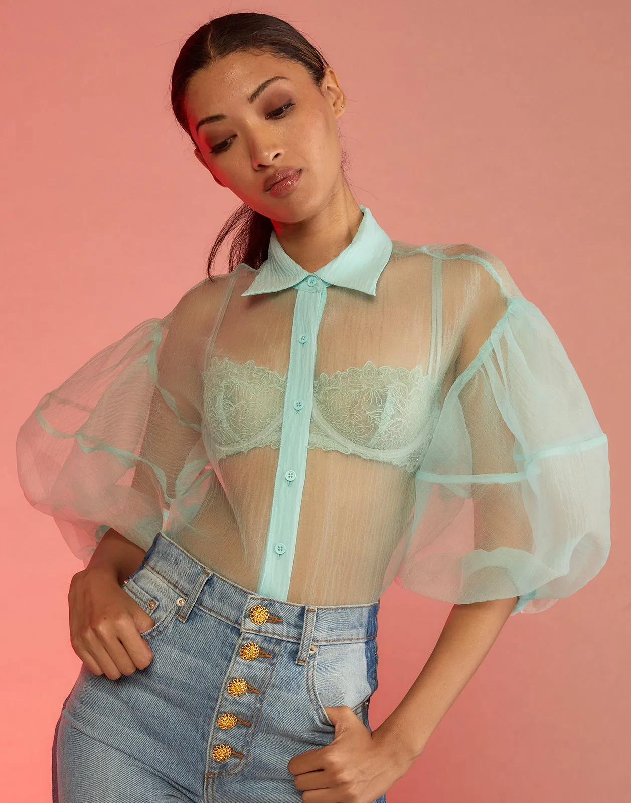 Sheer Bliss Blouse