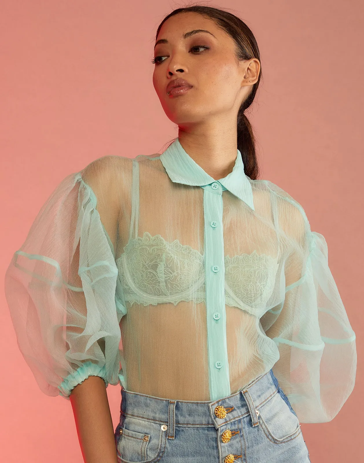 Sheer Bliss Blouse