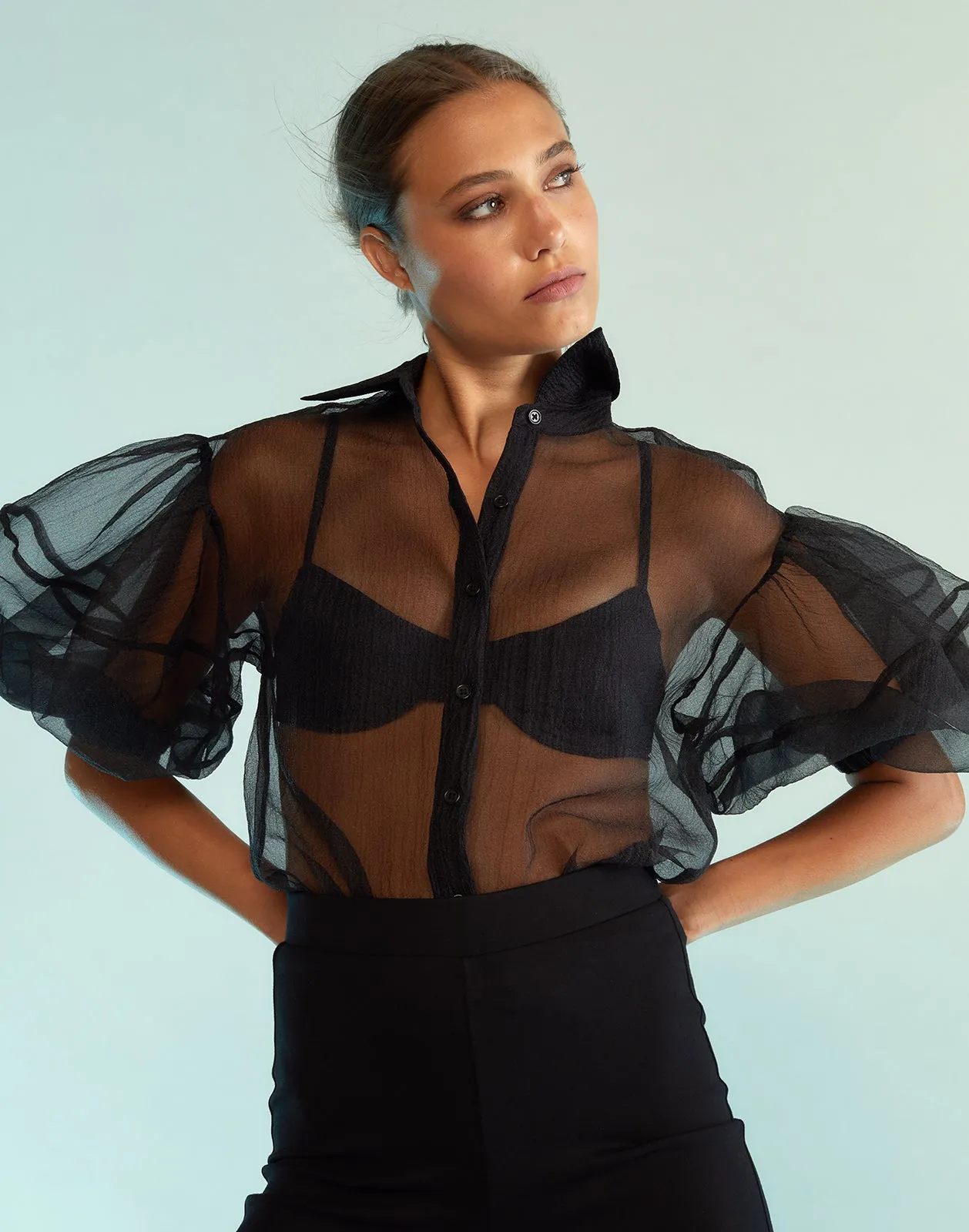 Sheer Bliss Blouse